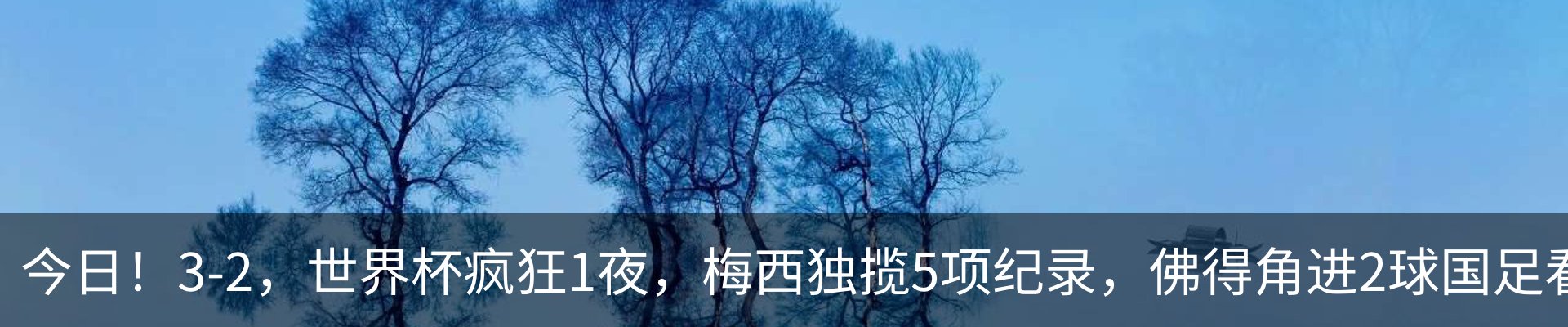 新闻动态